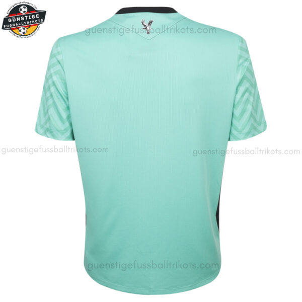 Crystal Palace Torwarttrikot für Herren 2024/25