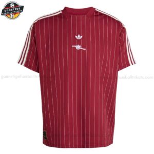 Arsenal Herren TERRANCE ICONS Fußballtrikot 25/26 - Front view